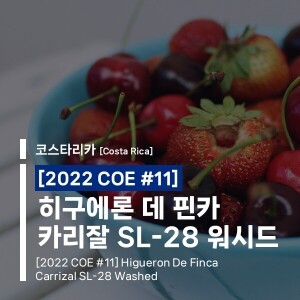 (코스타리카) [2022 COE #11] 히구에론 데 핀카 카리잘 SL-28 워시드